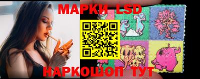 шишки Аргун