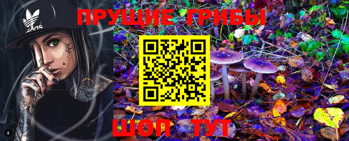 Псилоцибиновые грибы Cubensis  Вход с VPN  Балашиха 